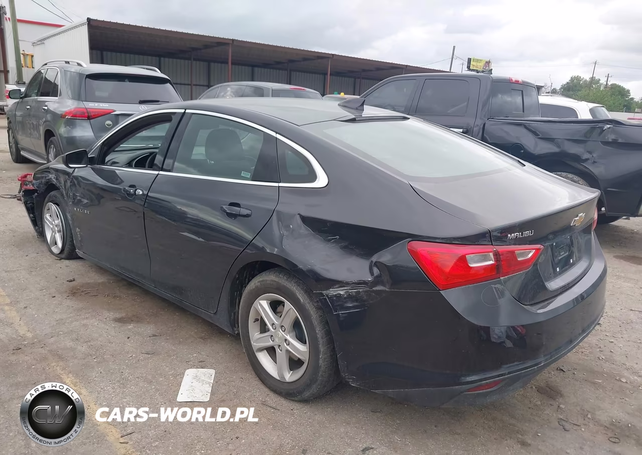 2023 Chevrolet Malibu Fwd 1Lt VIN:1G1ZD5STXPF225767 - 3