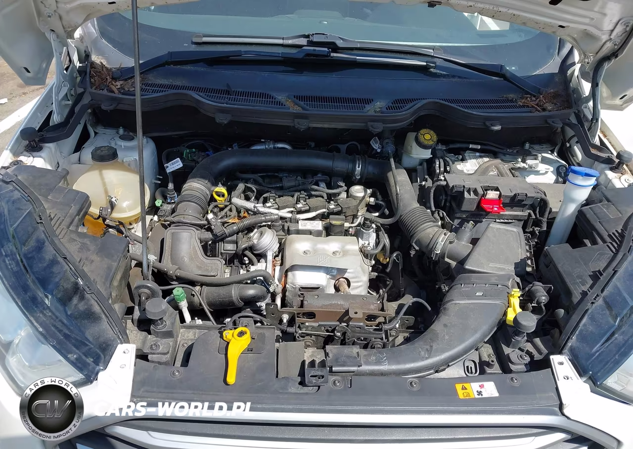 2018 Ford Ecosport Se VIN:MAJ3P1TE7JC202541 - 10