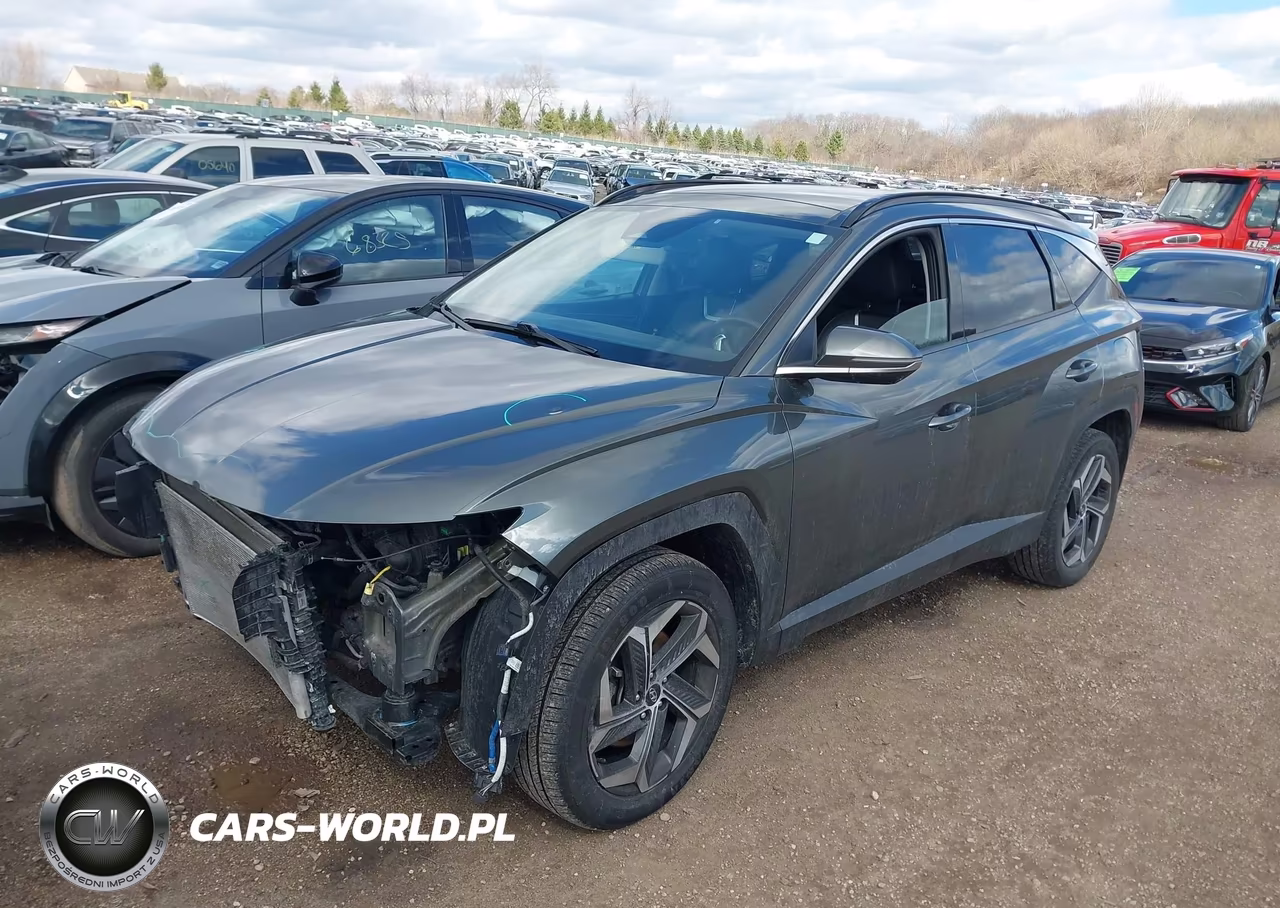2022 Hyundai Tucson Limited VIN:5NMJECAE9NH076194 - 2