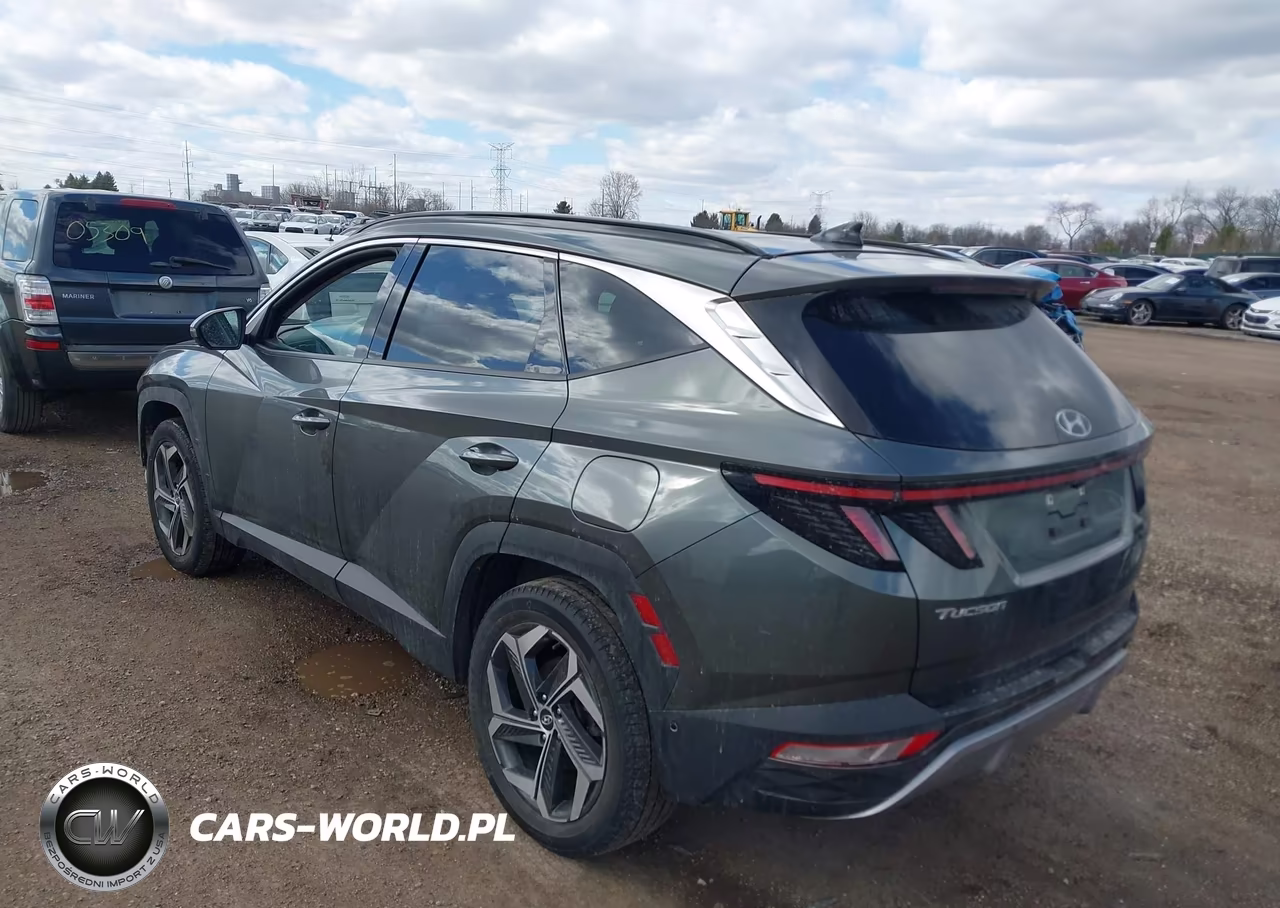 2022 Hyundai Tucson Limited VIN:5NMJECAE9NH076194 - 3