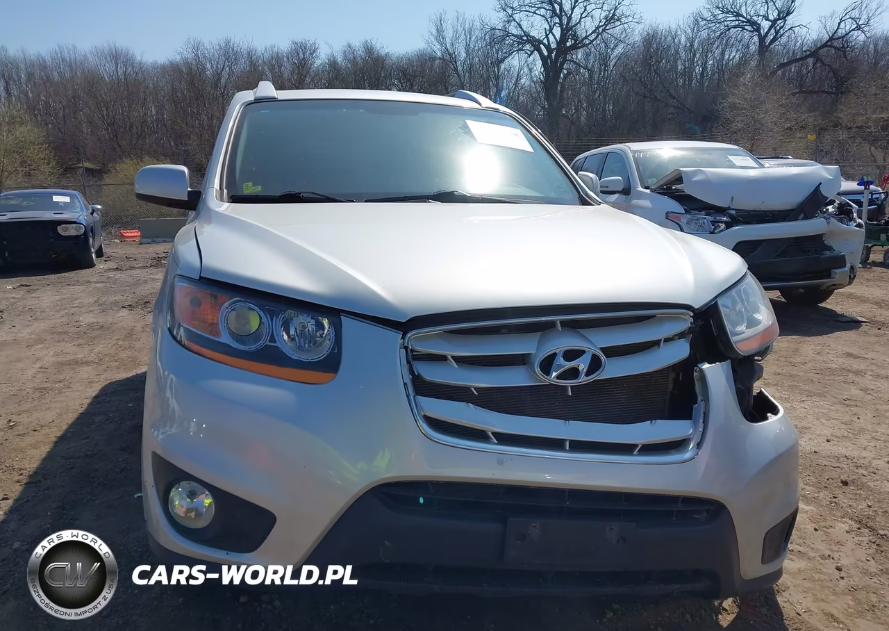 2011 Hyundai Santa Fe Se VIN:5XYZHDAG0BG016781 - 11