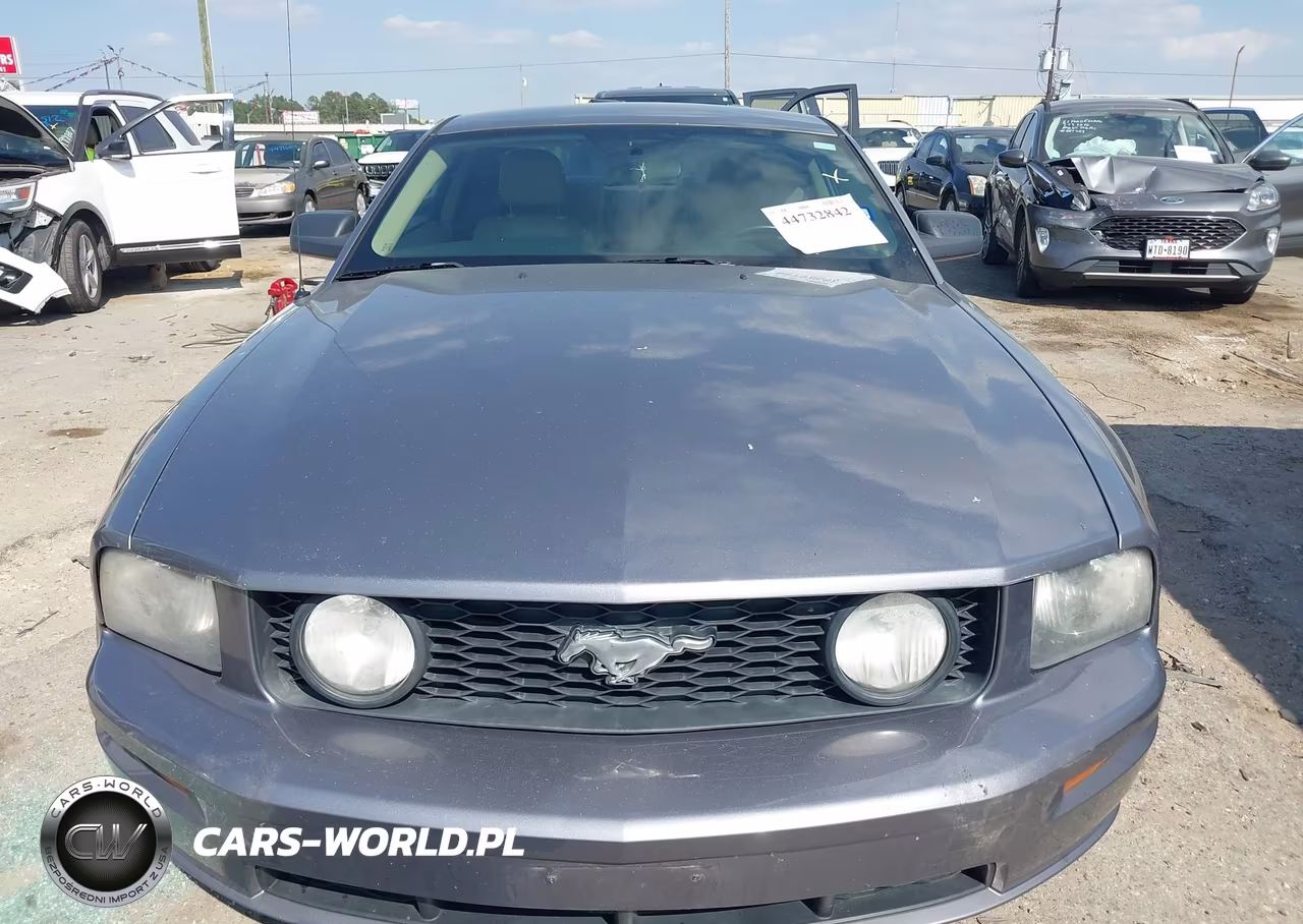 2006 Ford Mustang Gt VIN:1ZVHT82H165134794 - 12