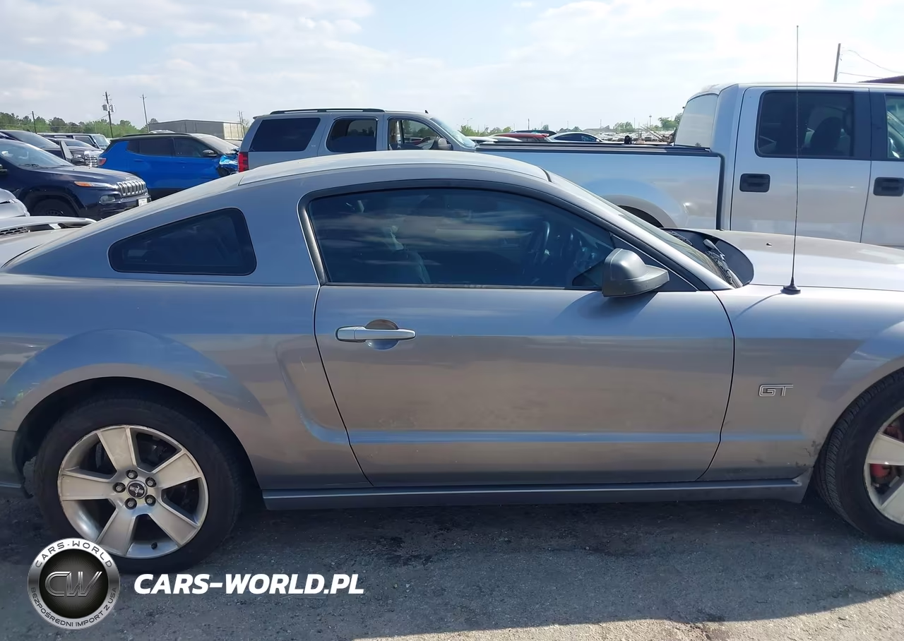 2006 Ford Mustang Gt VIN:1ZVHT82H165134794 - 13