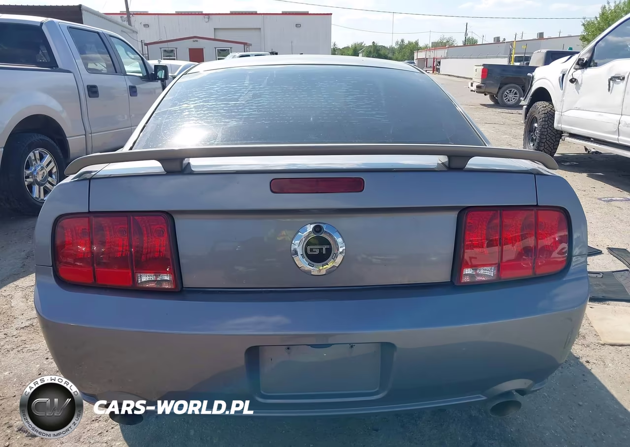 2006 Ford Mustang Gt VIN:1ZVHT82H165134794 - 16