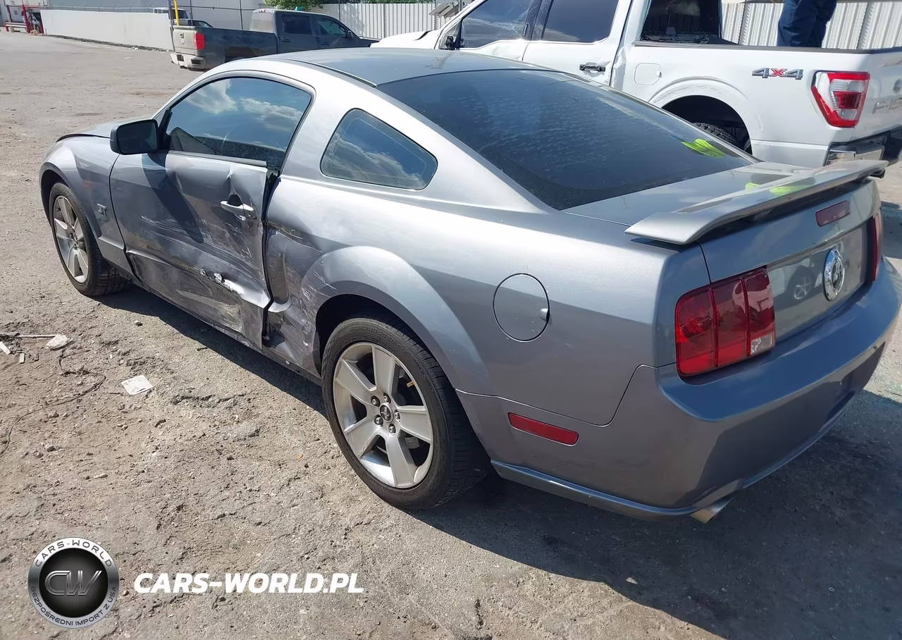 2006 Ford Mustang Gt VIN:1ZVHT82H165134794 - 3