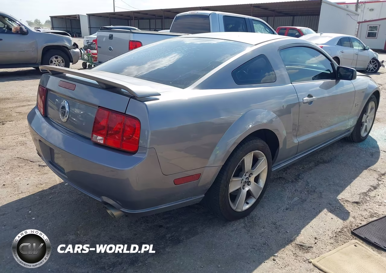 2006 Ford Mustang Gt VIN:1ZVHT82H165134794 - 4