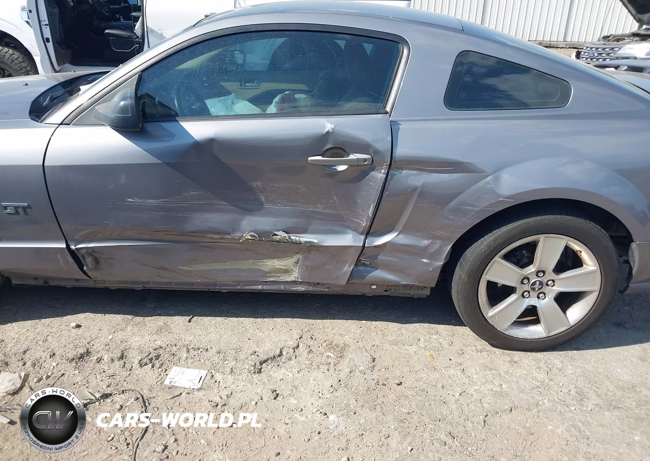 2006 Ford Mustang Gt VIN:1ZVHT82H165134794 - 6