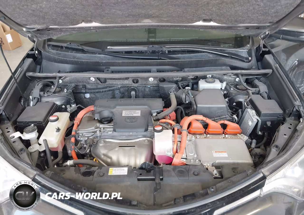 2016 Toyota Rav4 Hybrid Xle VIN:JTMRJREV0GD003321 - 10