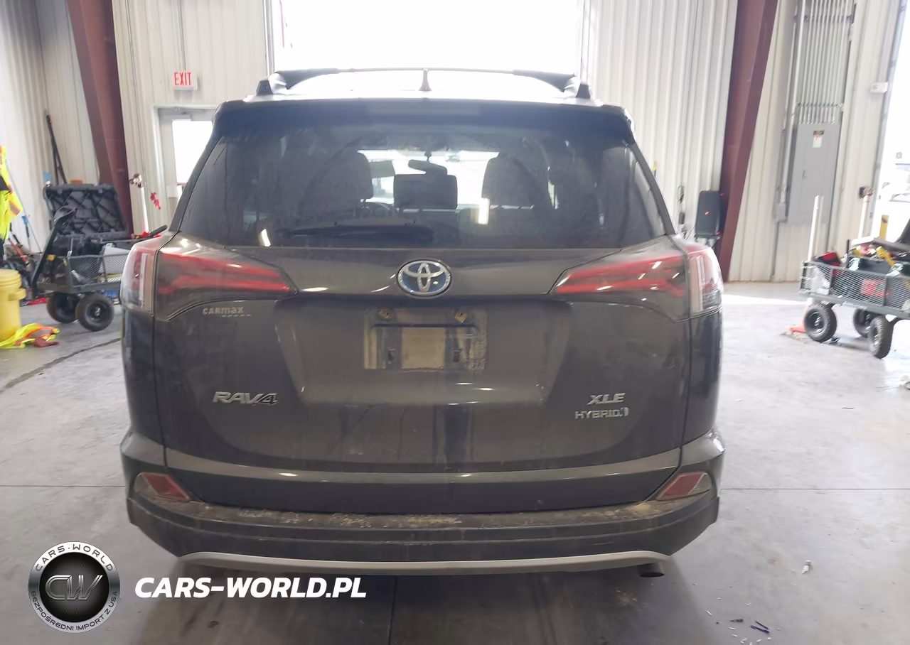 2016 Toyota Rav4 Hybrid Xle VIN:JTMRJREV0GD003321 - 17