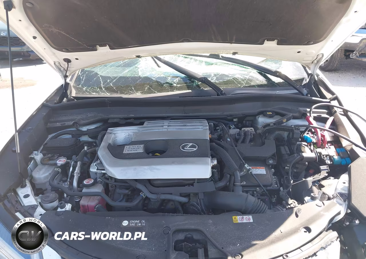 2021 Lexus Ux 250H F Sport VIN:JTHR9JBH5M2052044 - 10