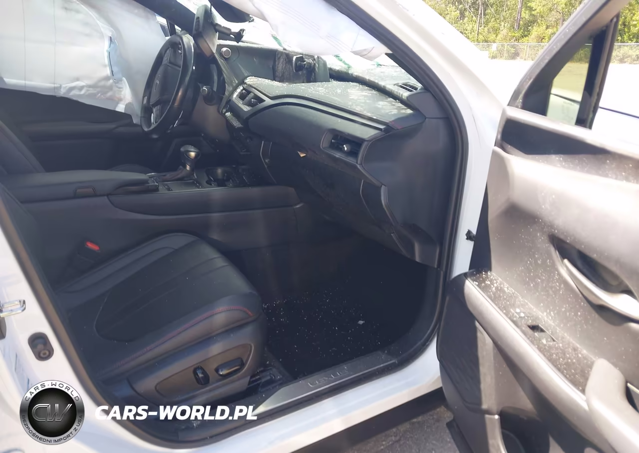 2021 Lexus Ux 250H F Sport VIN:JTHR9JBH5M2052044 - 5