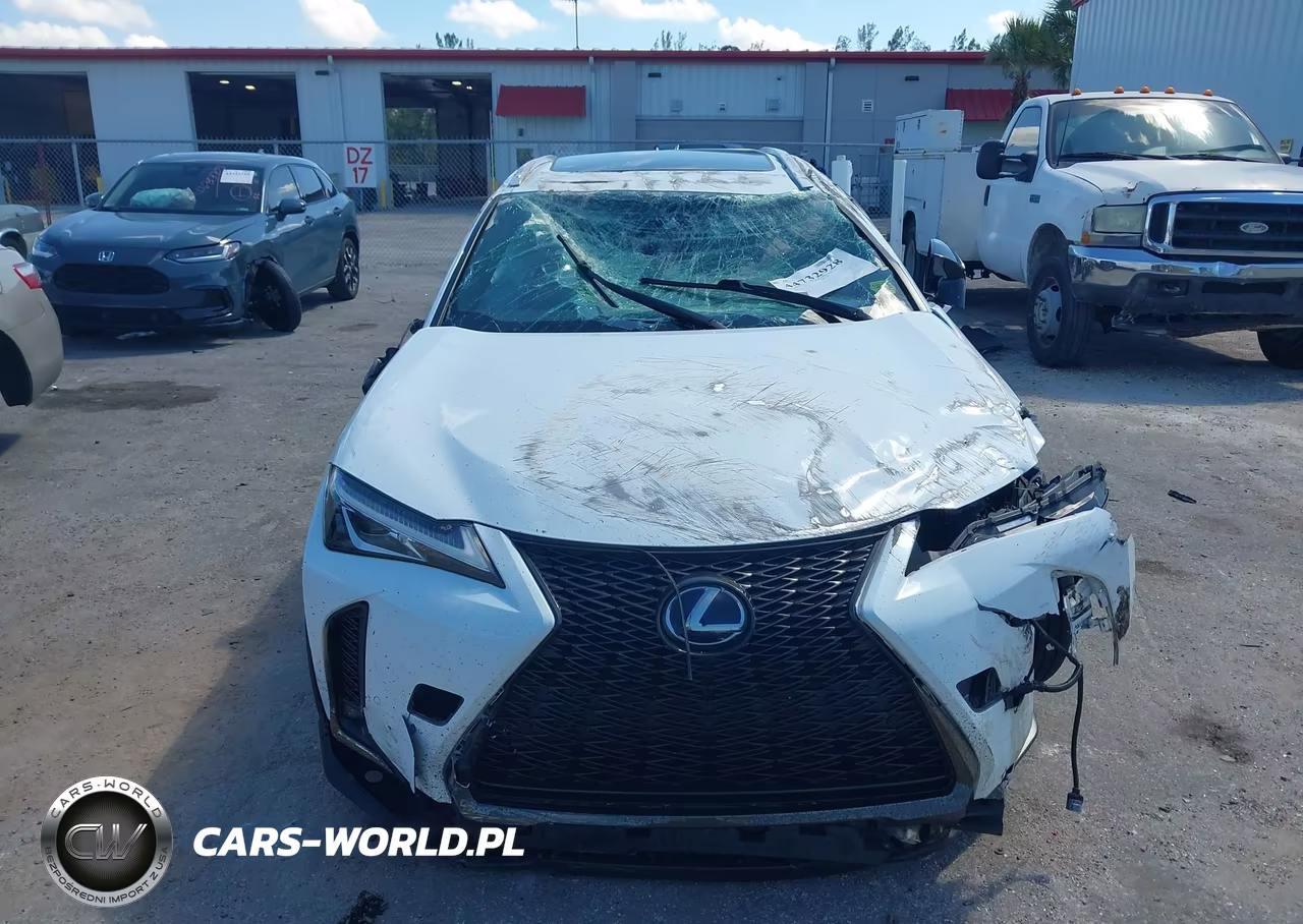 2021 Lexus Ux 250H F Sport VIN:JTHR9JBH5M2052044 - 6