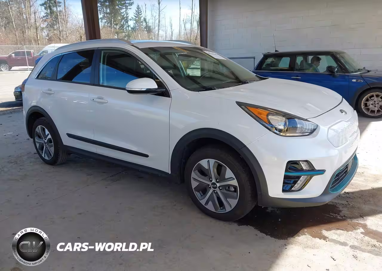 2019 Kia Niro Ev Ex Premium