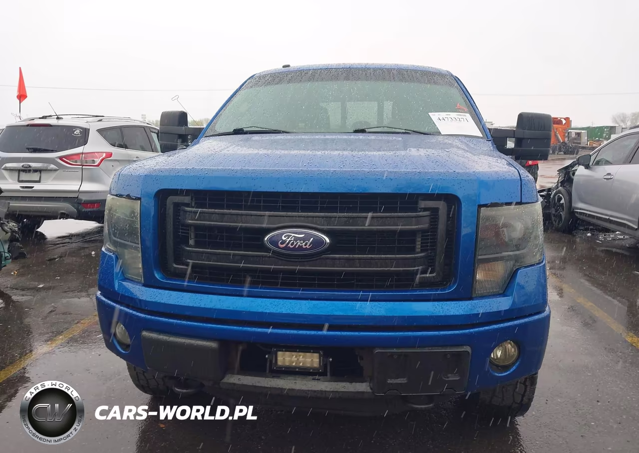 2014 Ford F-150 Fx4 VIN:1FTFW1ET6EFC98429 - 12
