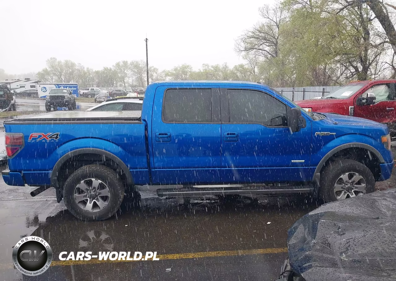 2014 Ford F-150 Fx4 VIN:1FTFW1ET6EFC98429 - 13