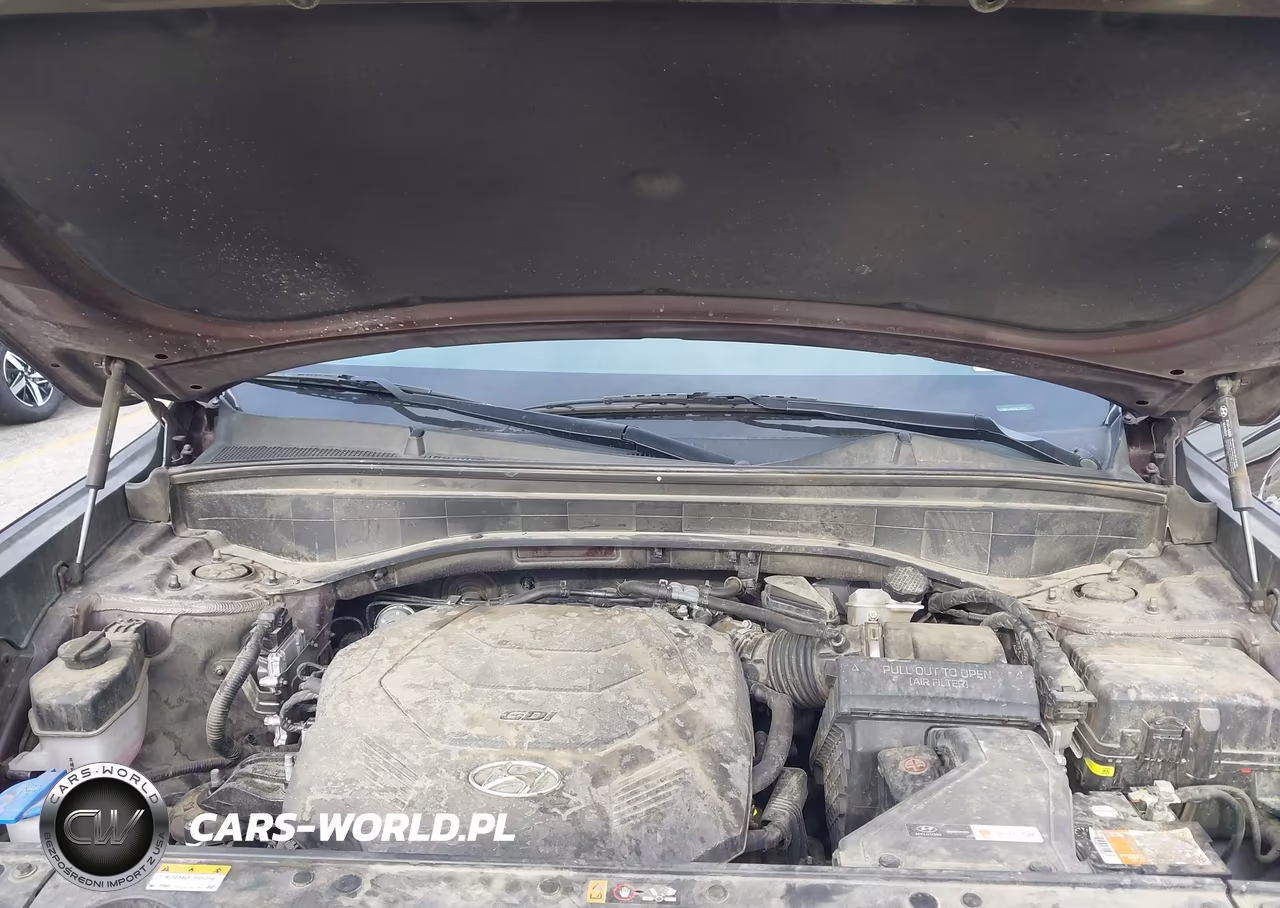 2022 Hyundai Palisade Sel VIN:KM8R44HE4NU370351 - 10