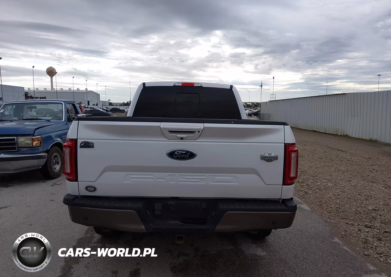 2019 Ford F-150 King Ranch VIN:1FTEW1C56KKE33279 - 17