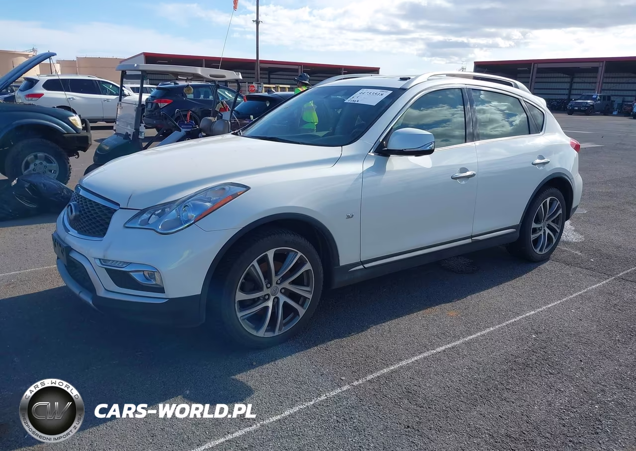2016 Infiniti Qx50 VIN:JN1BJ0RP9GM232480 - 2