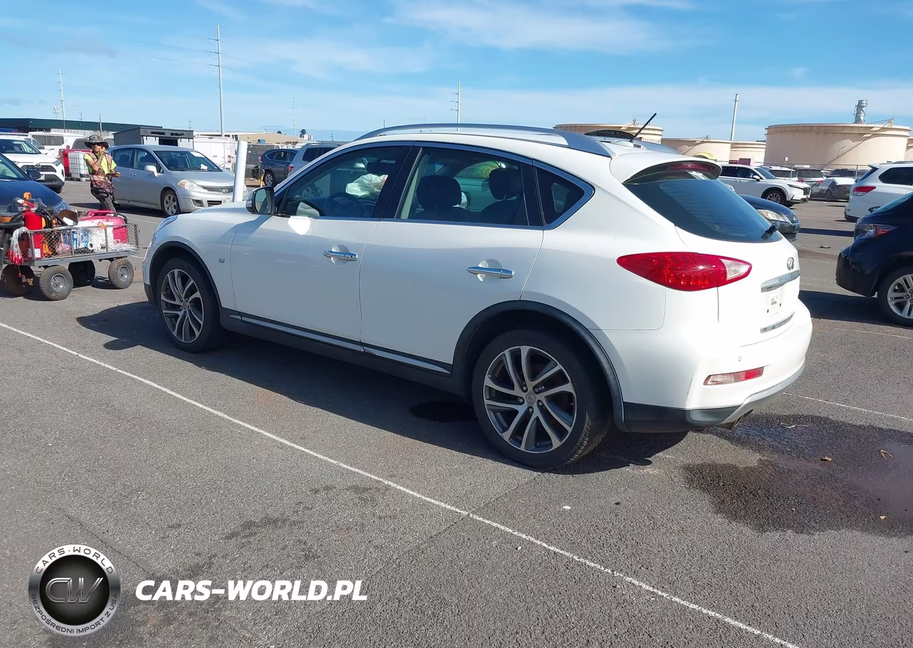 2016 Infiniti Qx50 VIN:JN1BJ0RP9GM232480 - 3