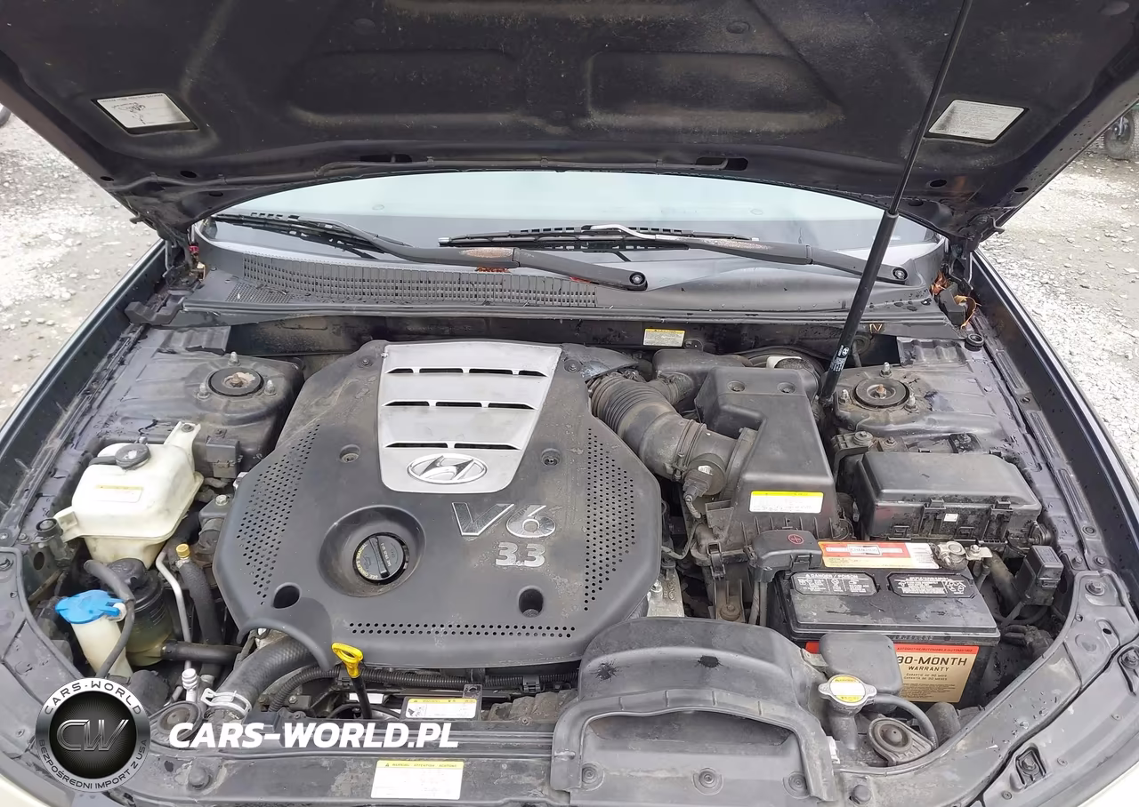 2006 Hyundai Sonata Gls V6-Lx V6 VIN:5NPEU46F86H129435 - 10