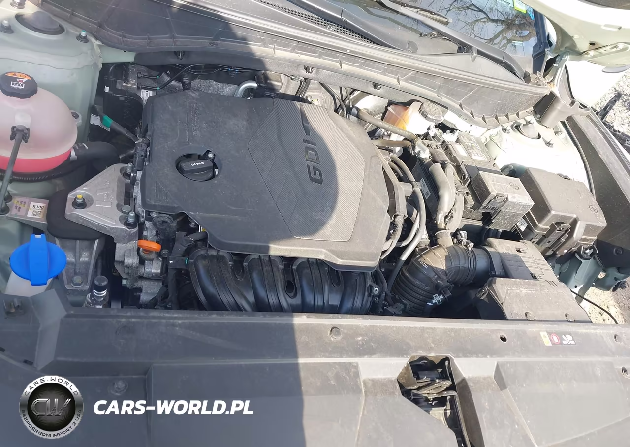 2023 Hyundai Santa Cruz Sel VIN:5NTJCDAE6PH076706 - 10