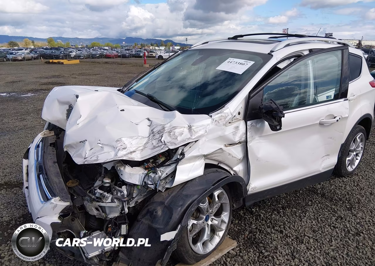 2013 Ford Escape Titanium VIN:1FMCU9J96DUC16464 - 6