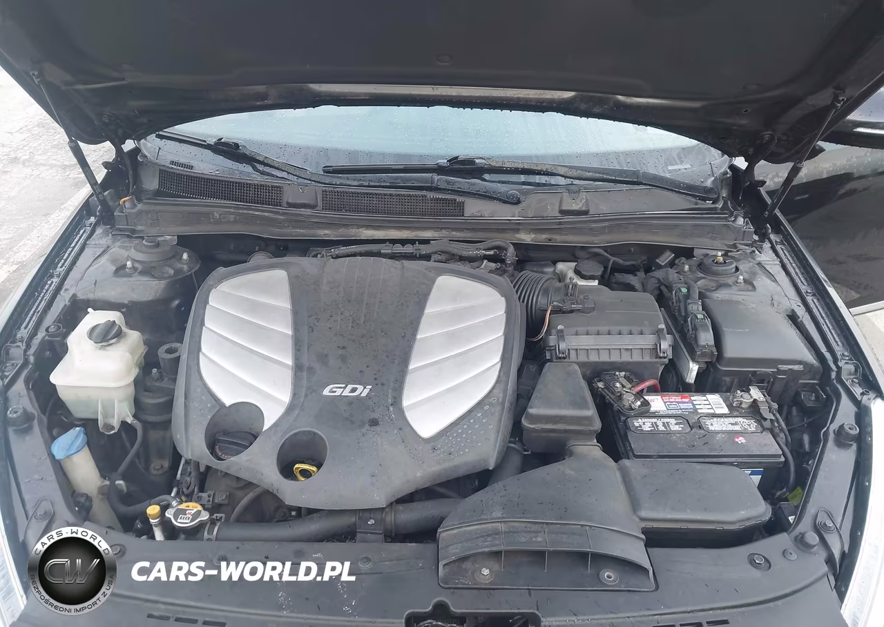 2014 Kia Cadenza Limited VIN:KNALN4D77E5154886 - 10