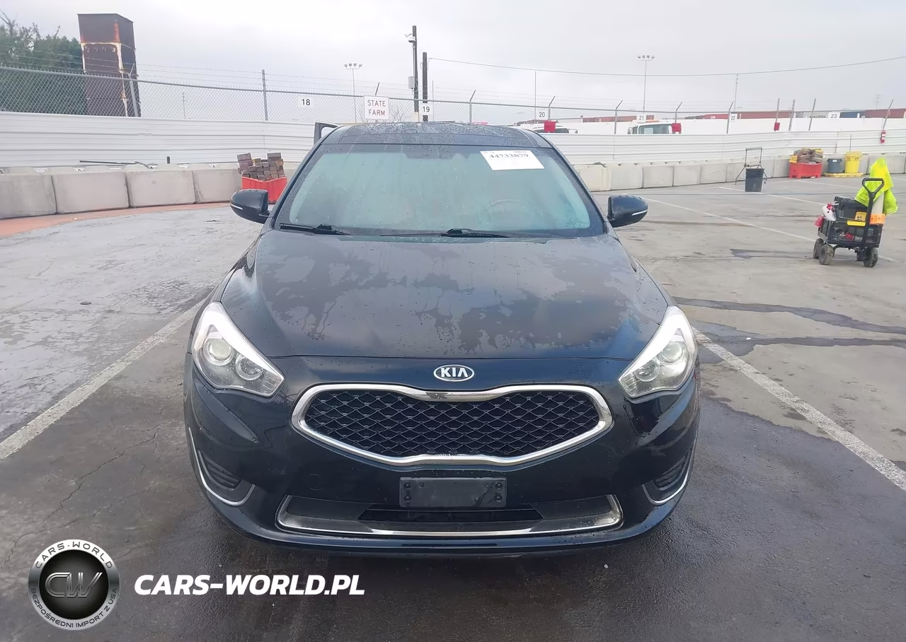 2014 Kia Cadenza Limited VIN:KNALN4D77E5154886 - 12