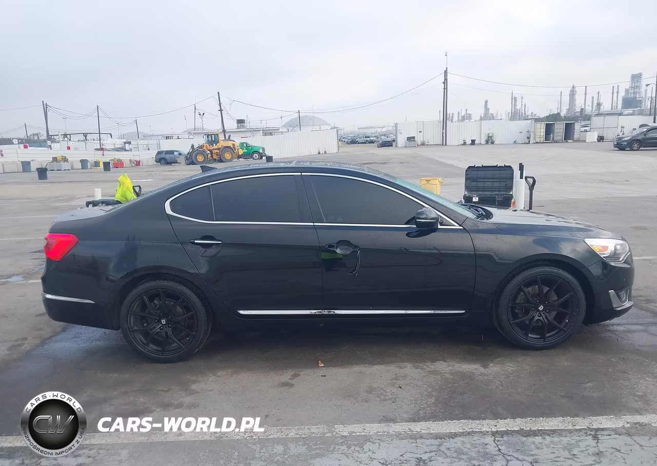 2014 Kia Cadenza Limited VIN:KNALN4D77E5154886 - 13