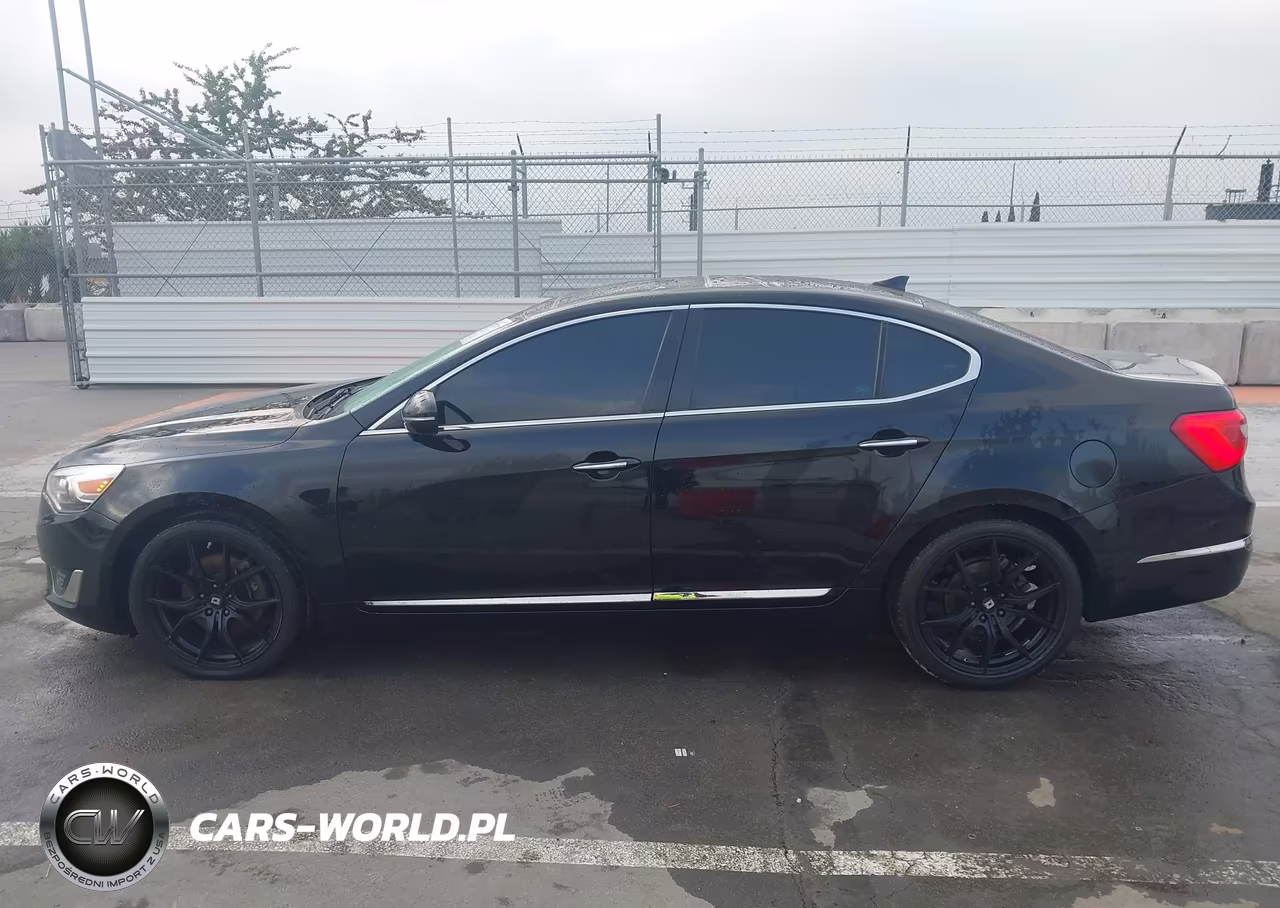 2014 Kia Cadenza Limited VIN:KNALN4D77E5154886 - 14