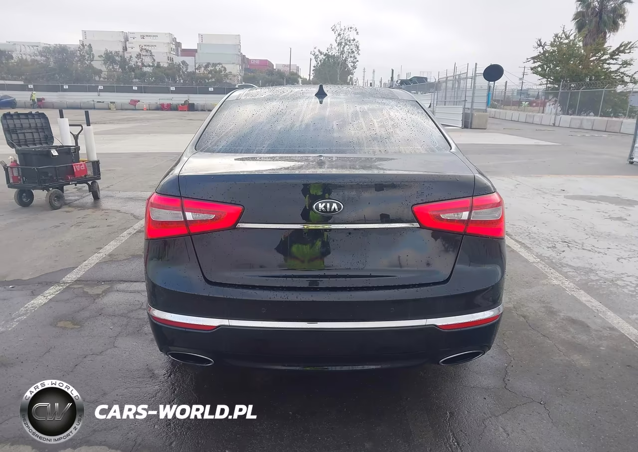 2014 Kia Cadenza Limited VIN:KNALN4D77E5154886 - 16