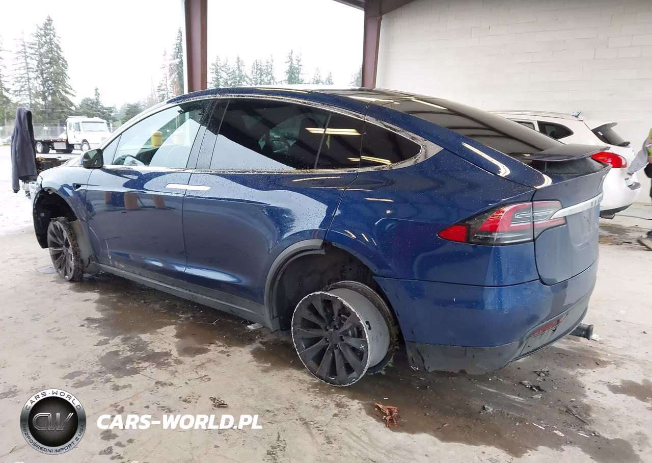 2019 Tesla Model X 100D-75D-Long Range VIN:5YJXCAE2XKF183644 - 3