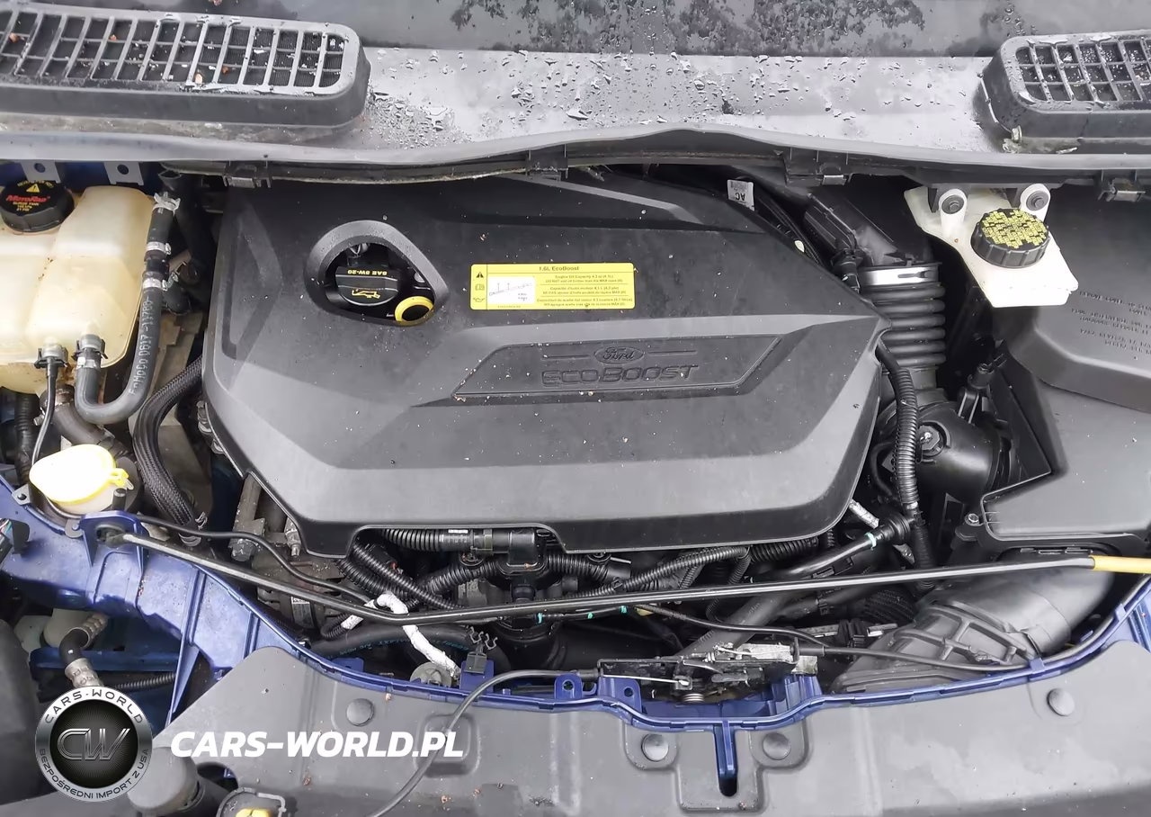 2014 Ford Escape Se VIN:1FMCU0GX1EUC93455 - 10