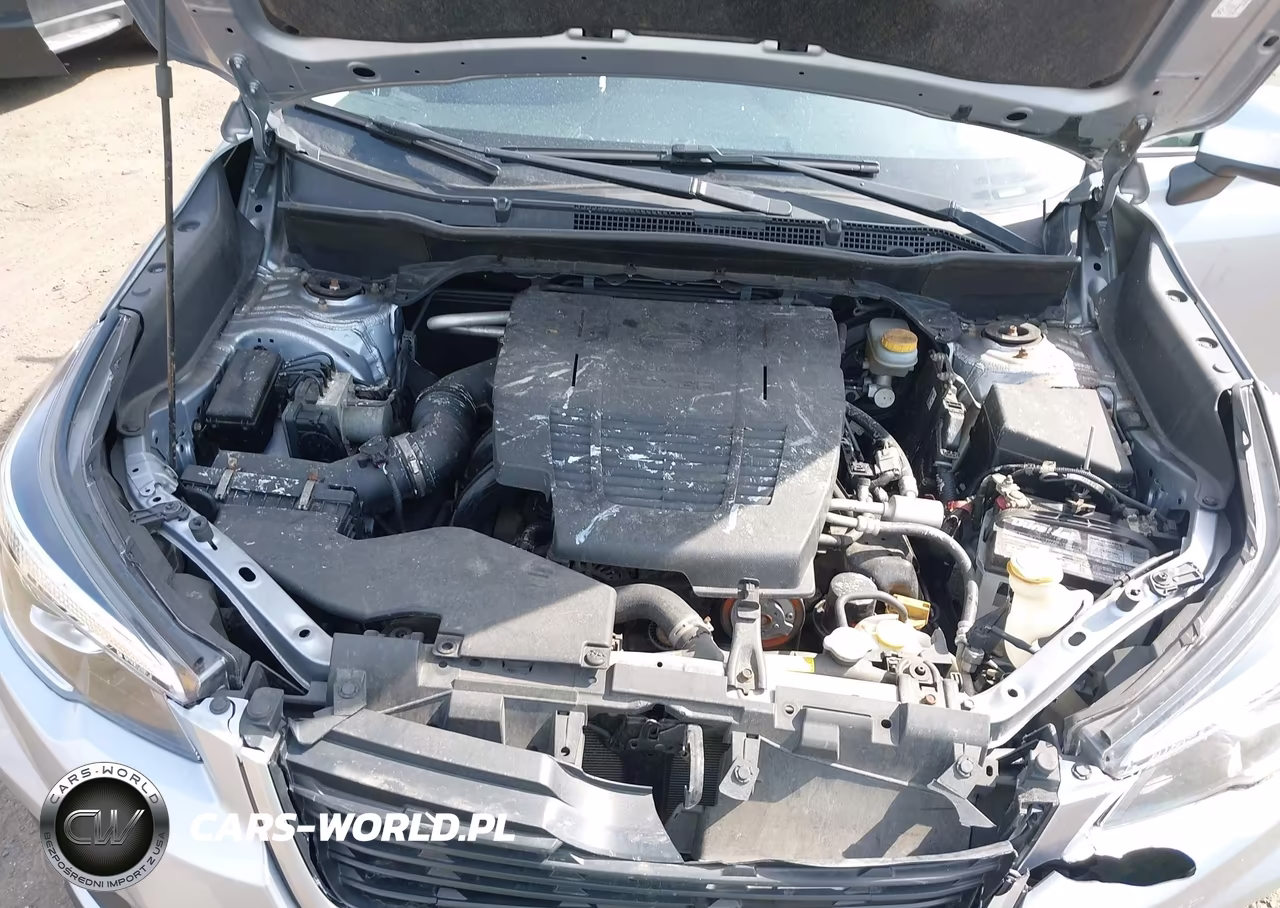 2019 Subaru Forester Premium VIN:JF2SKAEC9KH425248 - 10