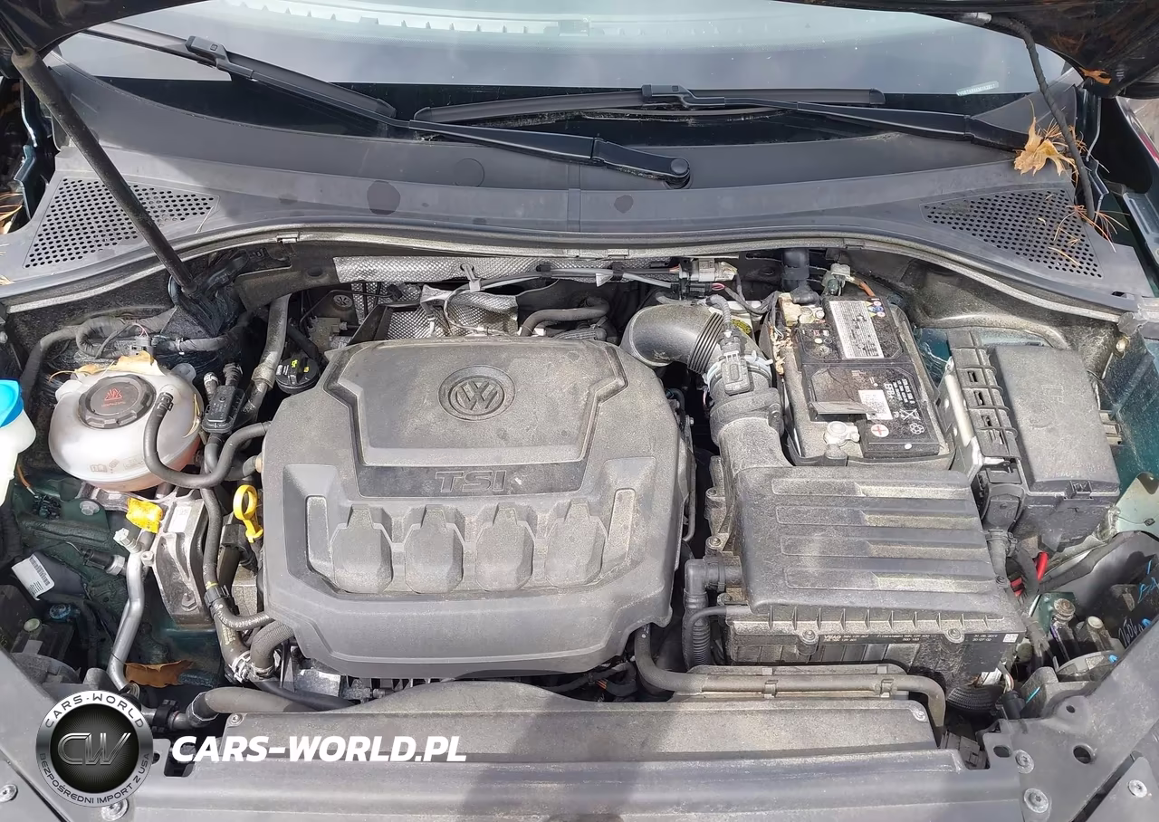 2019 Volkswagen Tiguan 2.0T S VIN:3VV0B7AX4KM162827 - 10