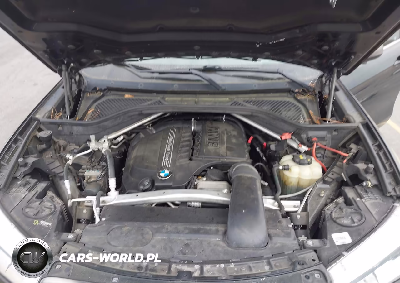 2018 BMW X6 Sdrive35I VIN:5UXKU0C59J0G80424 - 10
