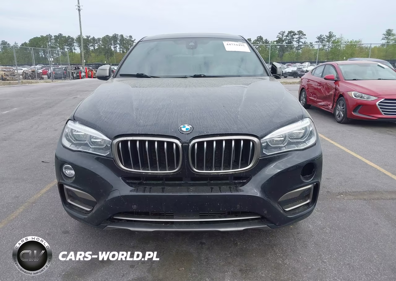 2018 BMW X6 Sdrive35I VIN:5UXKU0C59J0G80424 - 12