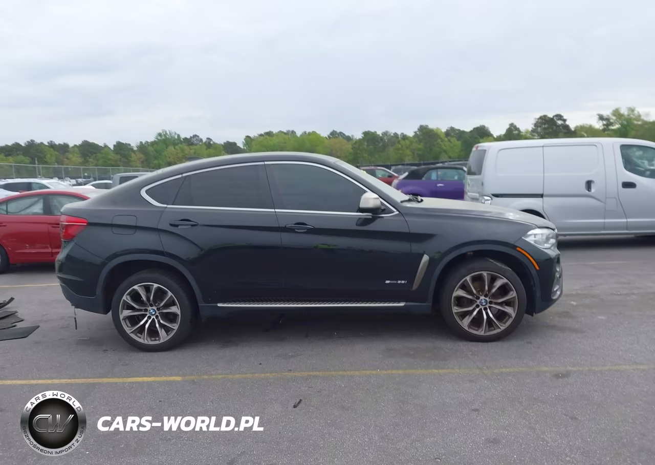 2018 BMW X6 Sdrive35I VIN:5UXKU0C59J0G80424 - 13