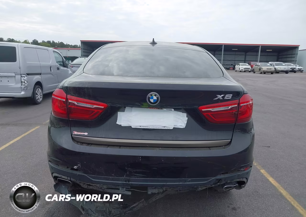 2018 BMW X6 Sdrive35I VIN:5UXKU0C59J0G80424 - 16