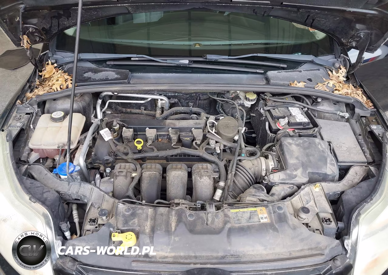 2012 Ford Focus Sel VIN:1FAHP3H21CL210850 - 10