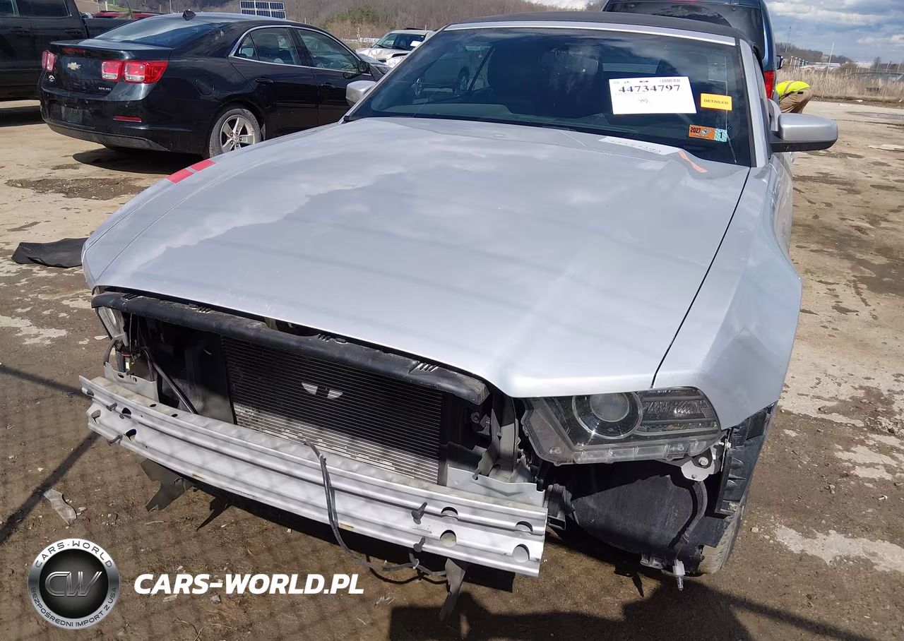 2013 Ford Mustang V6 Premium VIN:1ZVBP8EM0D5237124 - 13
