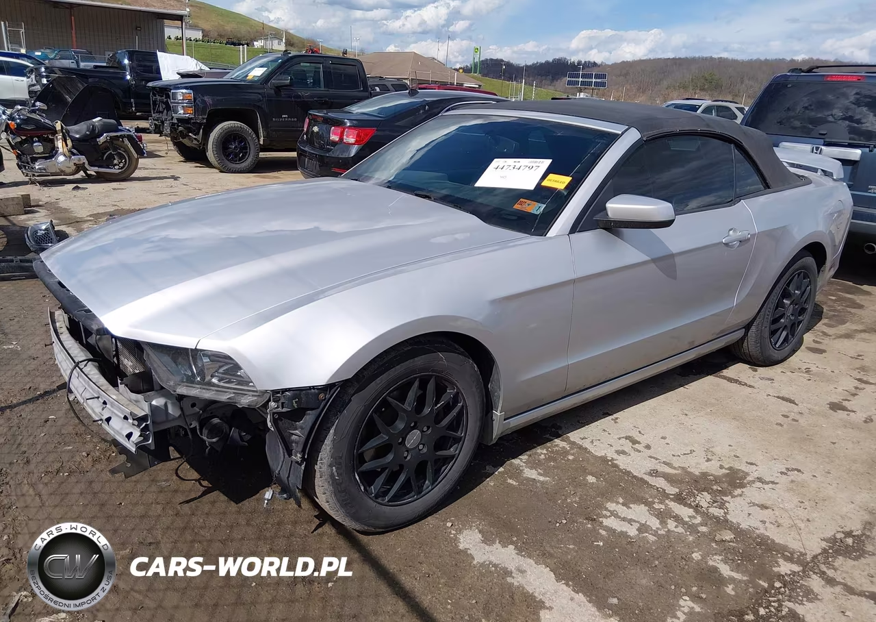 2013 Ford Mustang V6 Premium VIN:1ZVBP8EM0D5237124 - 2