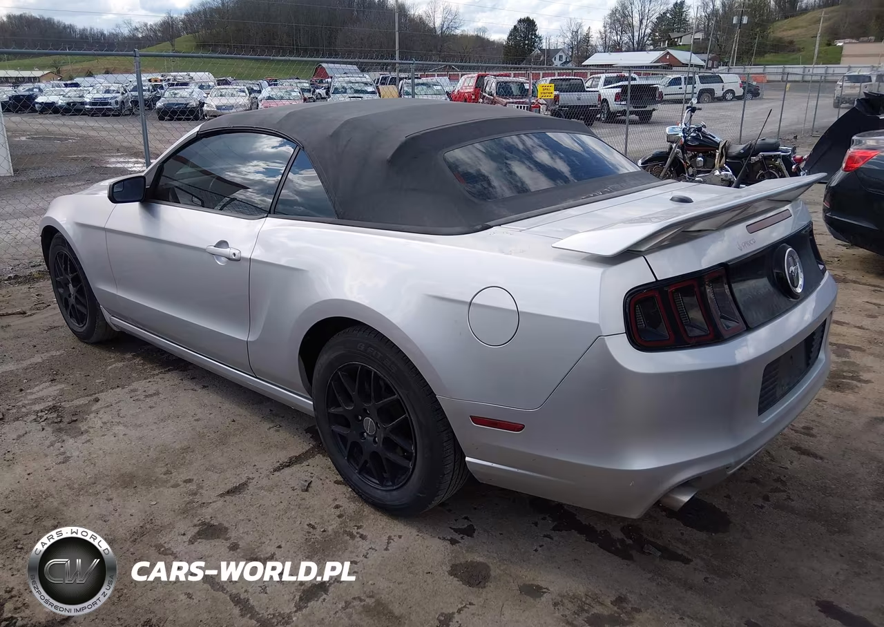 2013 Ford Mustang V6 Premium VIN:1ZVBP8EM0D5237124 - 3