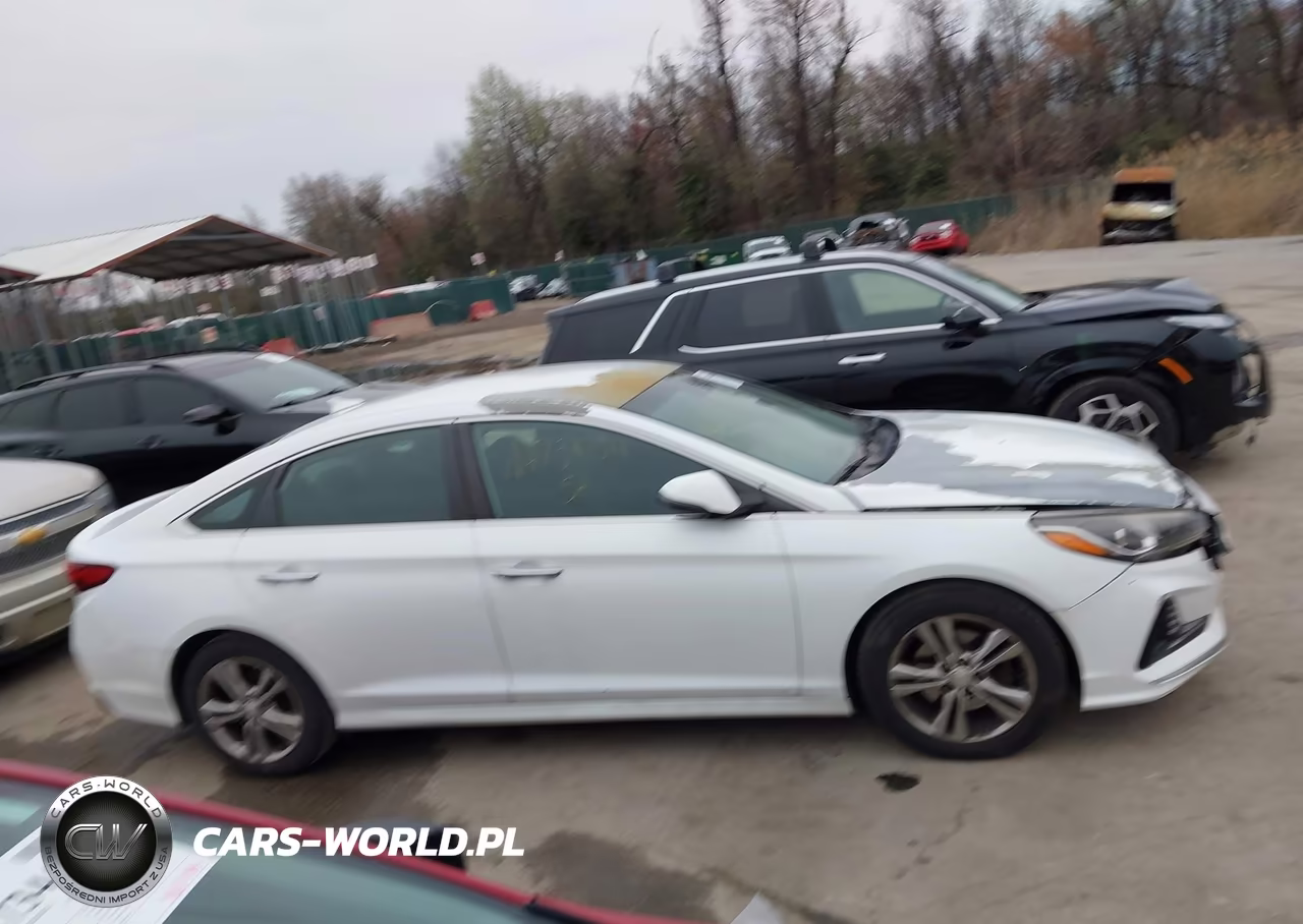 2018 Hyundai Sonata Sel VIN:5NPE34AF2JH610591 - 13