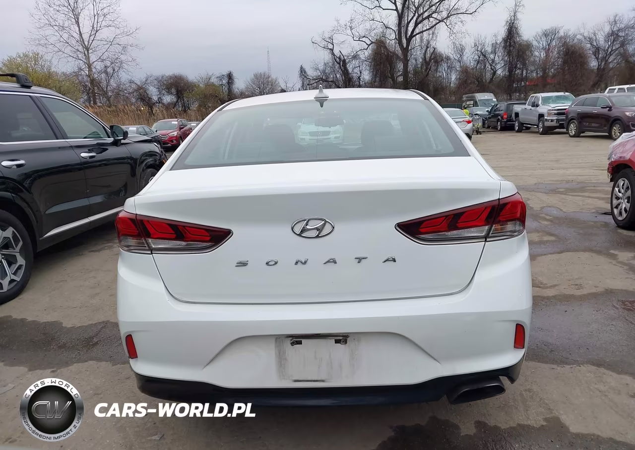 2018 Hyundai Sonata Sel VIN:5NPE34AF2JH610591 - 16