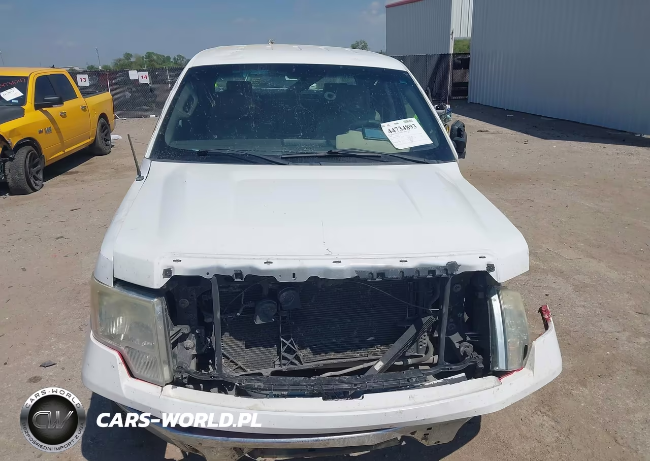 2009 Ford F-150 Xl-Xlt VIN:1FTRW12WX9FA85338 - 12