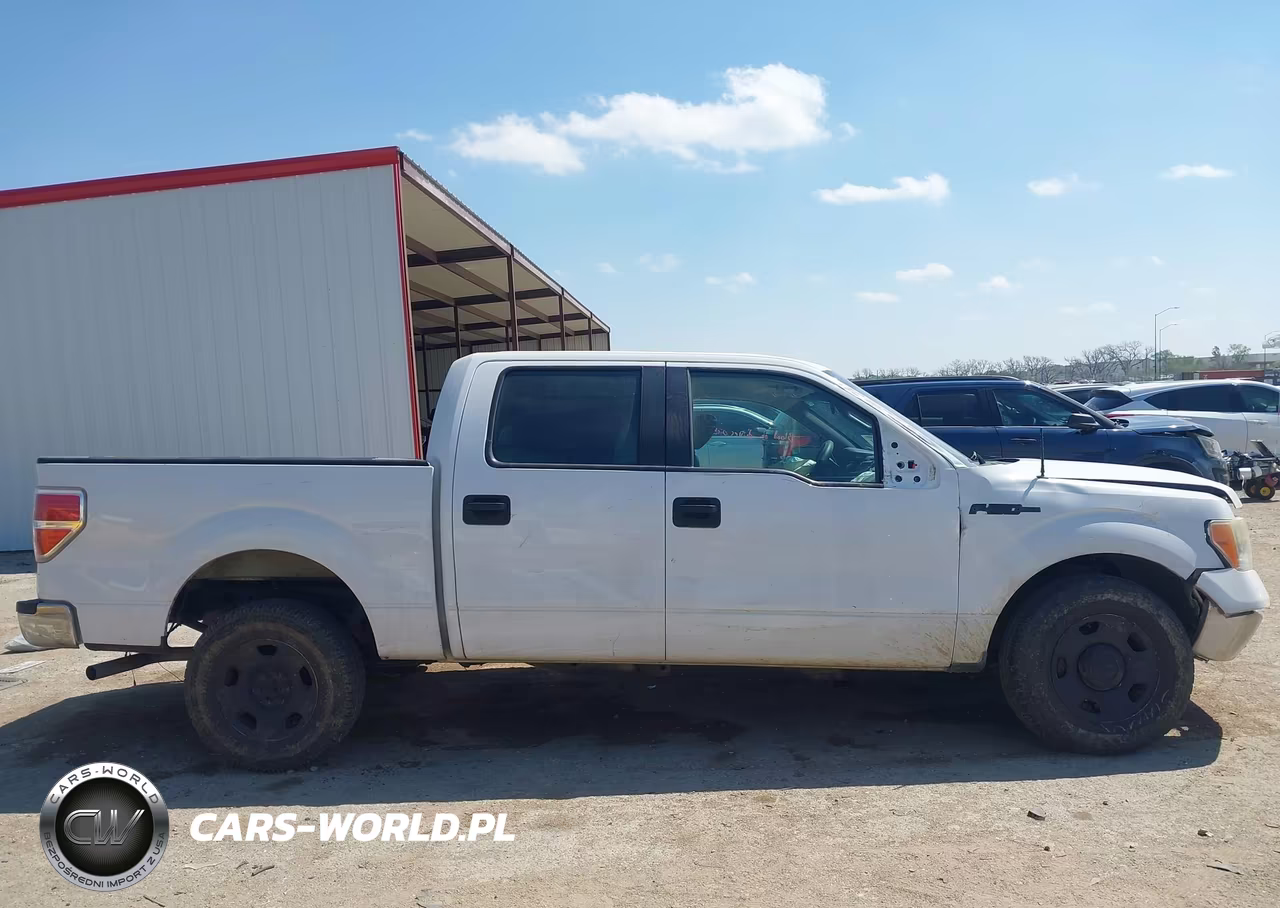 2009 Ford F-150 Xl-Xlt VIN:1FTRW12WX9FA85338 - 13