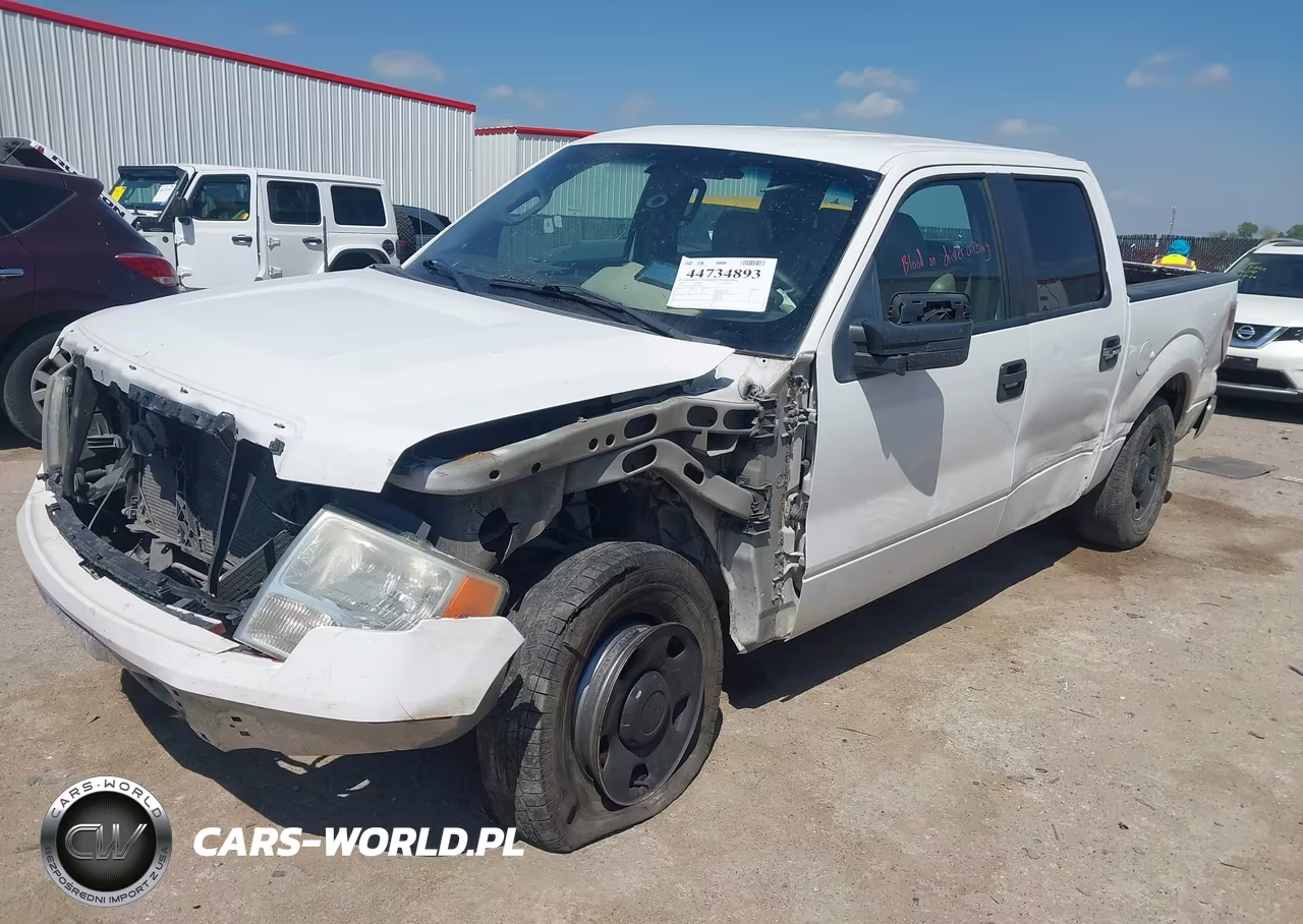 2009 Ford F-150 Xl-Xlt VIN:1FTRW12WX9FA85338 - 2