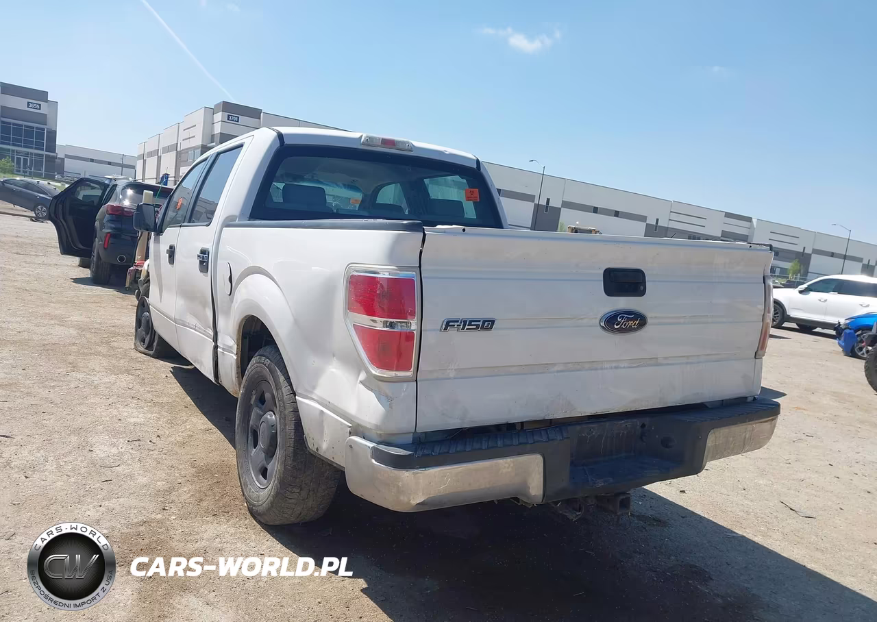 2009 Ford F-150 Xl-Xlt VIN:1FTRW12WX9FA85338 - 3