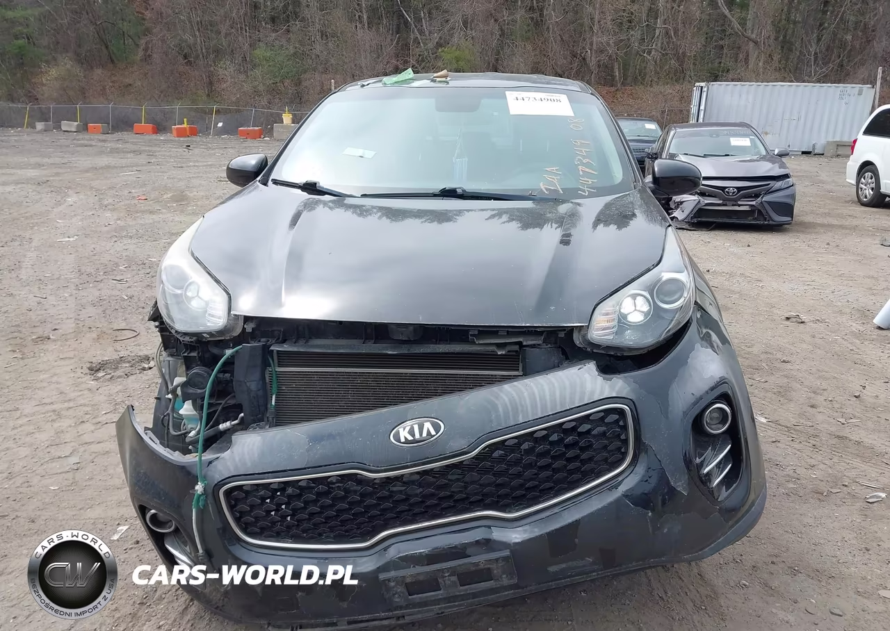 2017 Kia Sportage Lx VIN:KNDPMCAC0H7121157 - 12